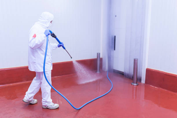Best Factory Floor Cleaning  in Stevenson, WA